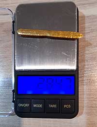 weighing Refined Gold
